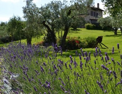 Holiday villas in Perugia