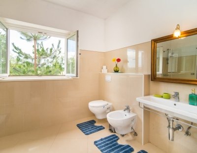 Book a villa in Croatia