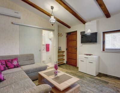 Villa in Istria to rent
