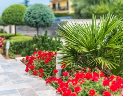 Villa in Pula to rent