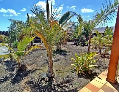 Book a villa in Canary Islands