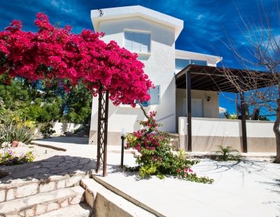 Villas in Nissi Beach
