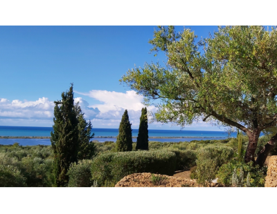 Holiday villas in Greece