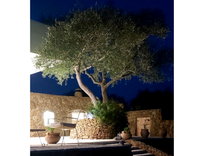 Holiday home in Greece villa booking