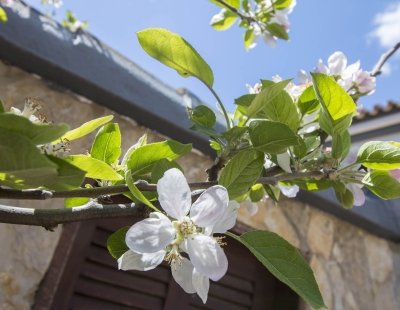 Book a villa holiday in Portugal