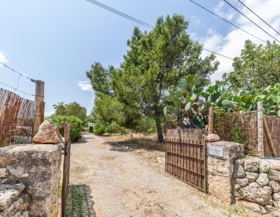 Holiday villas in Pollensa