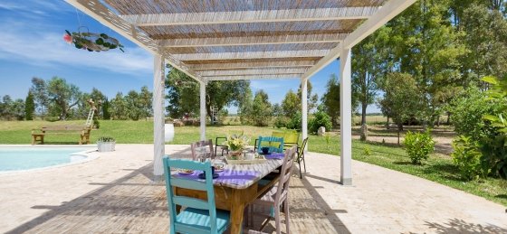 san_donaci-villa_pizzi-001004.jpg Holiday home in Puglia villa booking