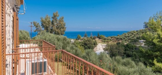 vialla_andon_zakynthos_greece_2024_1362_a_9.jpg Villa in Greece to rent
