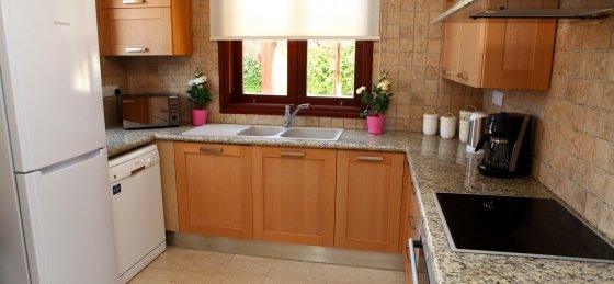15_img_3948.jpg Holiday home in Paphos villa booking