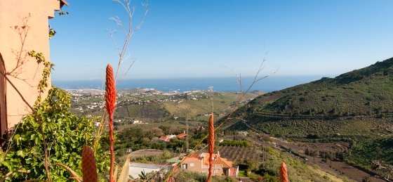 9ban_7862.jpg Book a villa holiday in Canary Islands