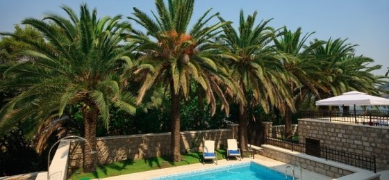 pool2.jpg Villa in Dubrovnik Region to rent