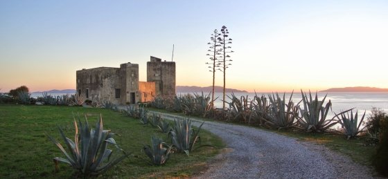 9.jpg Villa in Grosseto to rent