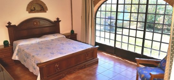cipressi_3_ok.jpg Villa in Pisa to rent