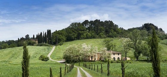 del_borgo_6.jpg Villa rentals in Tuscany