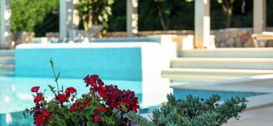 elina_villa_svoronata_websize_10_of_28.jpg Book a villa in Greece