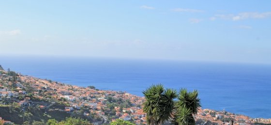 16_-_mhrd_-_quinta_dalegria_-_view_from_house.jpg Holiday villas in Madeira
