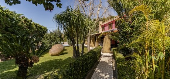 25_-_our_madeira_-_criss_home_-_garden.jpg Villa rentals in Portugal