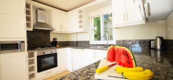 guney19.jpg Holiday villas in Dalaman