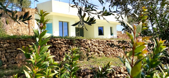 9d878f78-3d65-407f-ad8d-2d99ca6dbaad.png Book a villa in Corfu