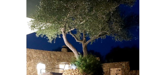 c3394f42-6b5d-469c-acfe-a99ba2570ec5.png Holiday home in Greece villa booking