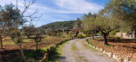121.jpg Villa in Mallorca to rent