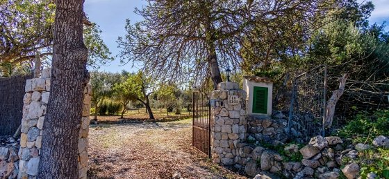 122.jpg Villas in Mallorca