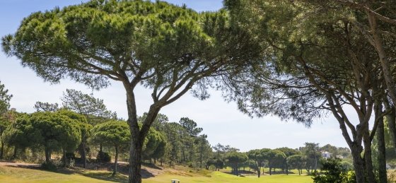 256a9670.jpg Holiday villas in Portugal