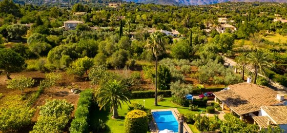 moreno_-_swimming_pool_04.jpg Book a villa in Mallorca