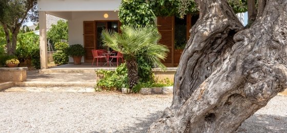 oliver_-_xterior_z_1_18_2400x1600.jpg Holiday home in Balearic Islands villa booking