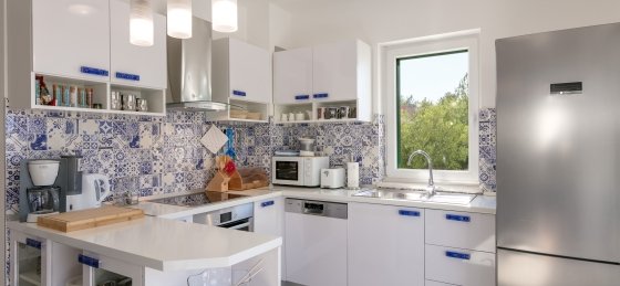 villa_in_milna_13_1.jpg Holiday villas in Brac