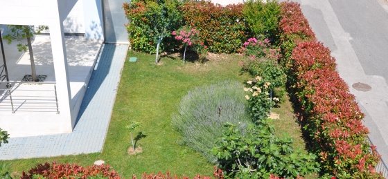 villa_in_podstrana_area_33.jpg Villa rentals in Croatia